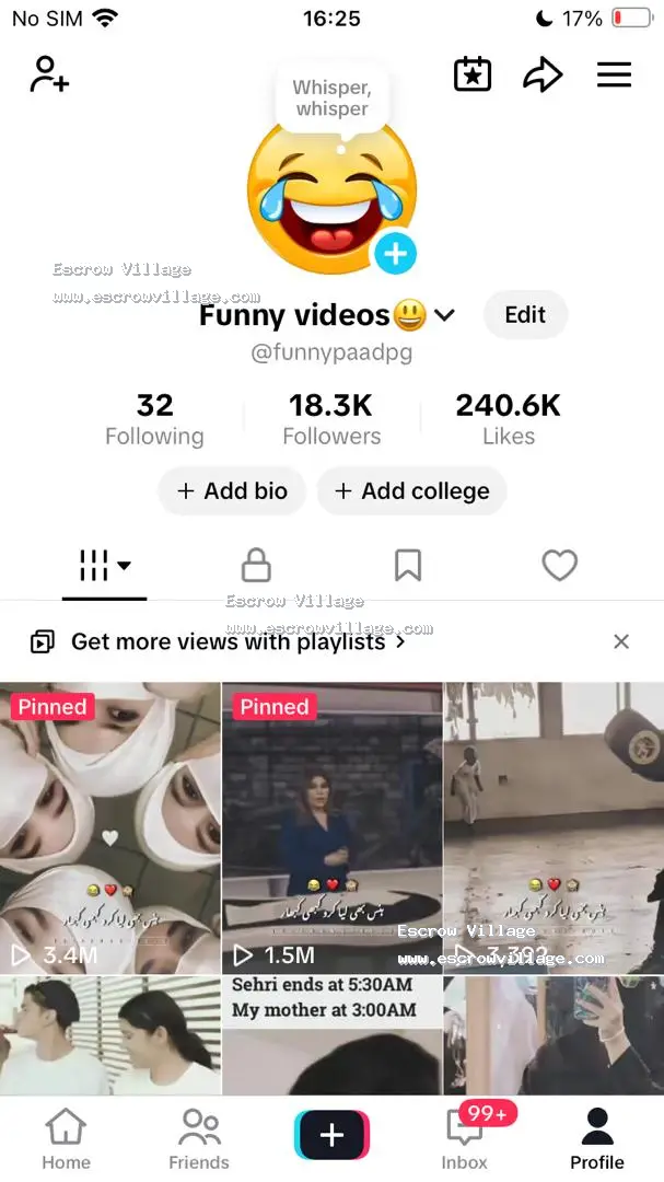 Foreign TikTok Account - 18k followers